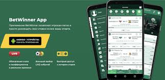 Discover the Best Features of BetWinner Sportsbook