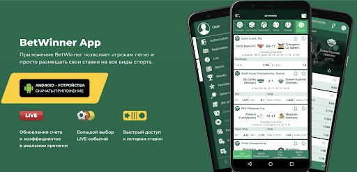 Your Ultimate Guide to Betwinner